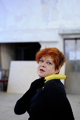 Diane Torr