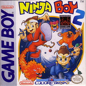 Ninja Boy 2