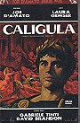 Caligula: The Untold Story, The [large hardbox]