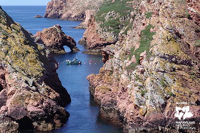 Arquipélago das Berlengas