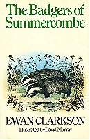 The Badgers of Summercombe