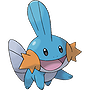 Mudkip