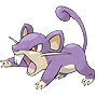 Rattata