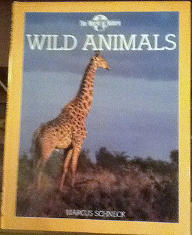 Wild Animals