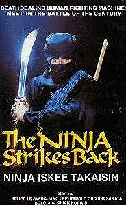 The Ninja Strikes Back (Bruce Le strikes back)