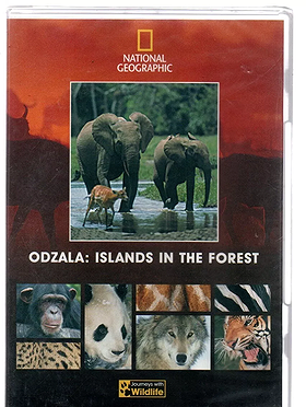 Journeys with Wildlife - Odzala: Islands in the Forest