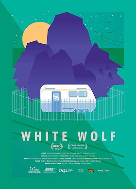 Fehér farkas (2015)