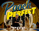Pooch Perfect UK