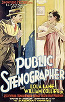 Public Stenographer