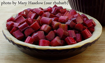 Rhubarb