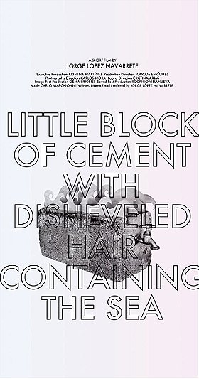 Pequeño bloque de cemento con pelo alborotado conteniendo el mar