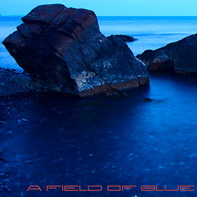 A Field of Blue
