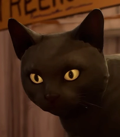 Valkyrie (Life is Strange: True Colors)