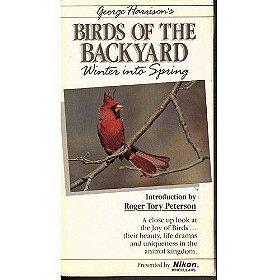 Birds of the Backyard: Winter into Spring