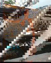 Priscilla Aqilla pictures and photos