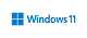 Windows 11