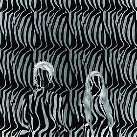 Zebra (Single)