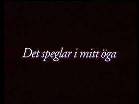 Det speglar i mitt öga