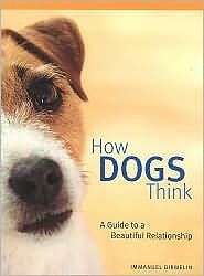 How Dogs Think: A Guide to a Beautiful Relationship