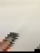 Bérénice