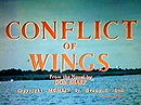 Conflict of Wings