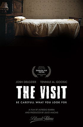 Visit (2013)