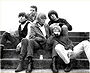 The Chocolate Watchband
