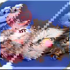 Orm and Cheep