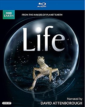 Life (David Attenborough-Narrated Version) 