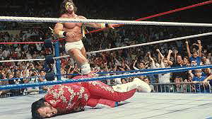Ultimate warrior vs honky tonk Man SummerSlam 1988