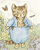 Tom Kitten