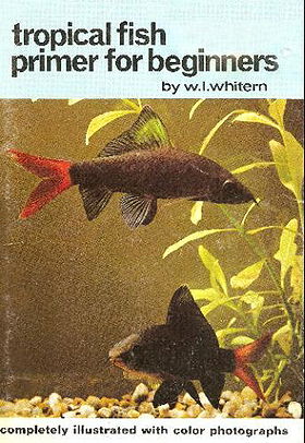 Tropical fish primer for beginners