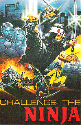 Challenge of the Ninja