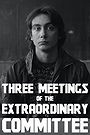 Three Meetings of the Extraordinary Committee