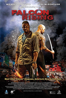 Falcon Rising