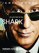 "Shark" Pilot