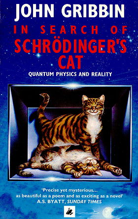 In Search of Schodinger's Cat