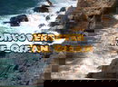 Discover The Ocean