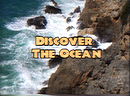 Discover The Ocean