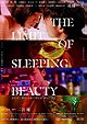 The Limit of Sleeping Beauty (2017) 