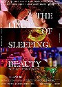 The Limit of Sleeping Beauty (2017) 