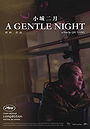 A Gentle Night