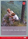 Postav dom, zasad strom