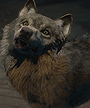 Wolfie (Until Dawn)
