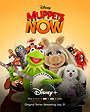 Muppets Now