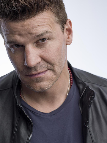 David Boreanaz