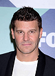 David Boreanaz
