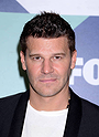 David Boreanaz