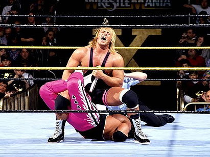 Bret Hart vs. Owen Hart (1994/03/20)
