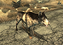 Dogmeat (Fallout 3)